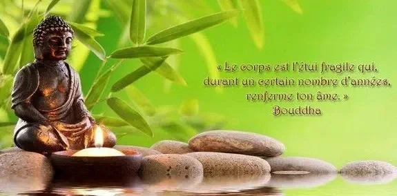 zen-osteopathievschiropraxie