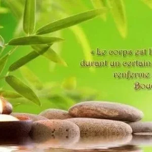 zen-osteopathievschiropraxie